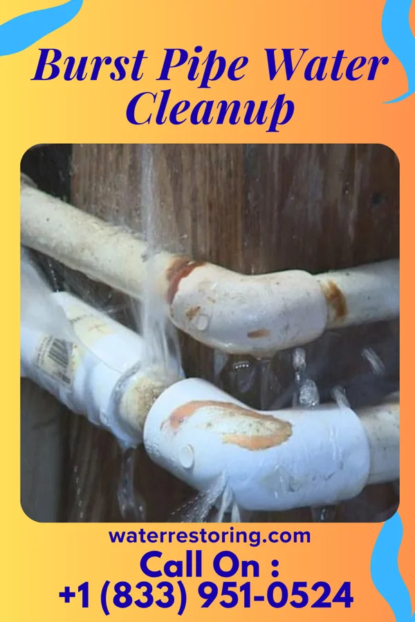 Burst Pipe Water Cleanup in Adena, OH