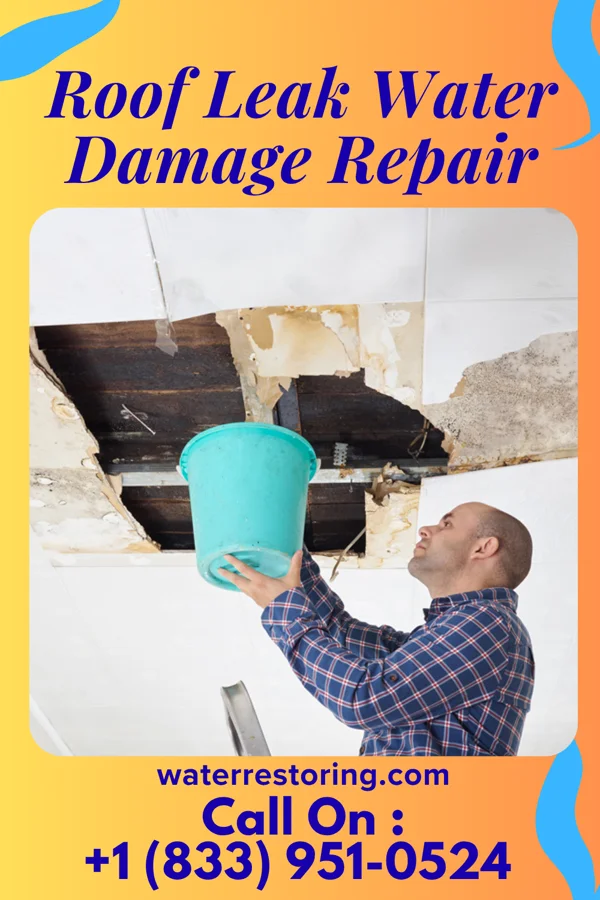 Roof Leak Water Damage Repair in Adena, OH