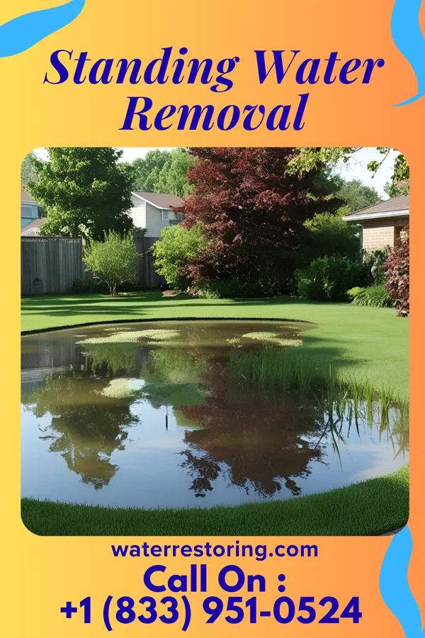 Standing Water Removal in Adena, OH